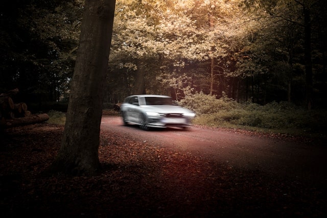 Vehicle Speeding Through Forest
